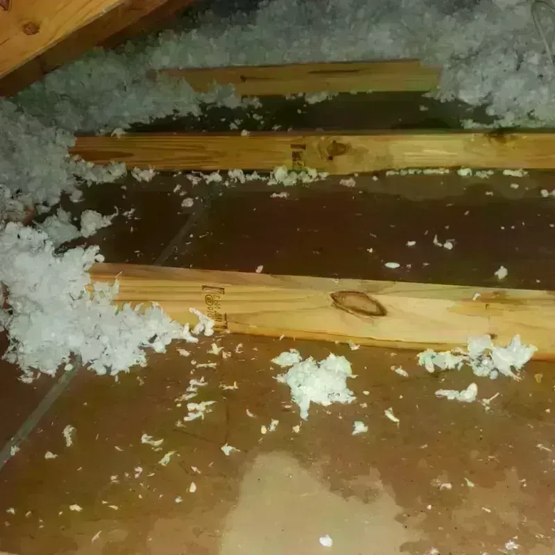 Attic Water Damage in Bruce, MS