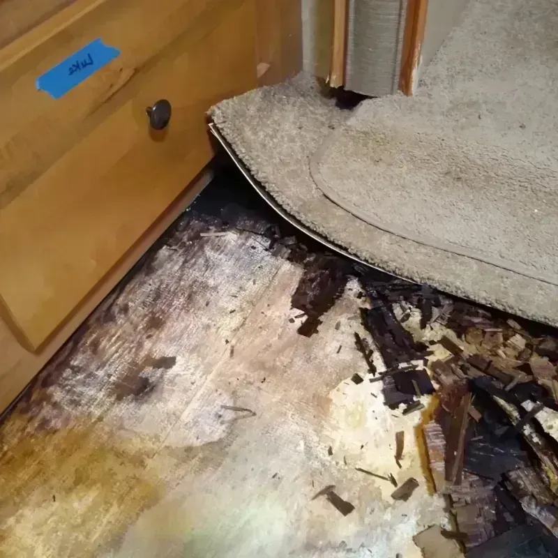 Best Wood Floor Water Damage Service in Bruce, MS